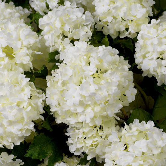 Buchet de hortensii snowball, alb, cu aspect natural, 36 fire