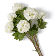Buchet de hortensii snowball, alb, cu aspect natural, 36 fire