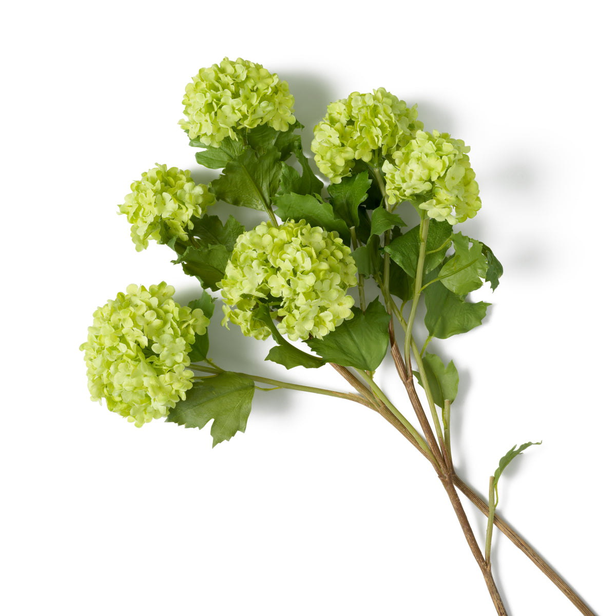 Buchet de hortensii snowball, verde, cu aspect natural, 36 fire