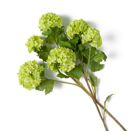 Buchet de hortensii snowball, verde, cu aspect natural, 36 fire