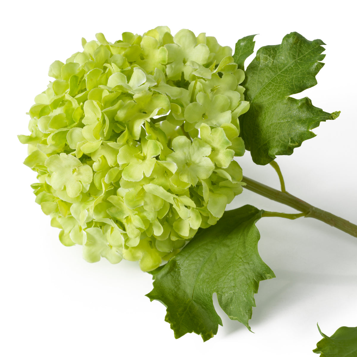 Buchet de hortensii snowball, verde, cu aspect natural, 36 fire