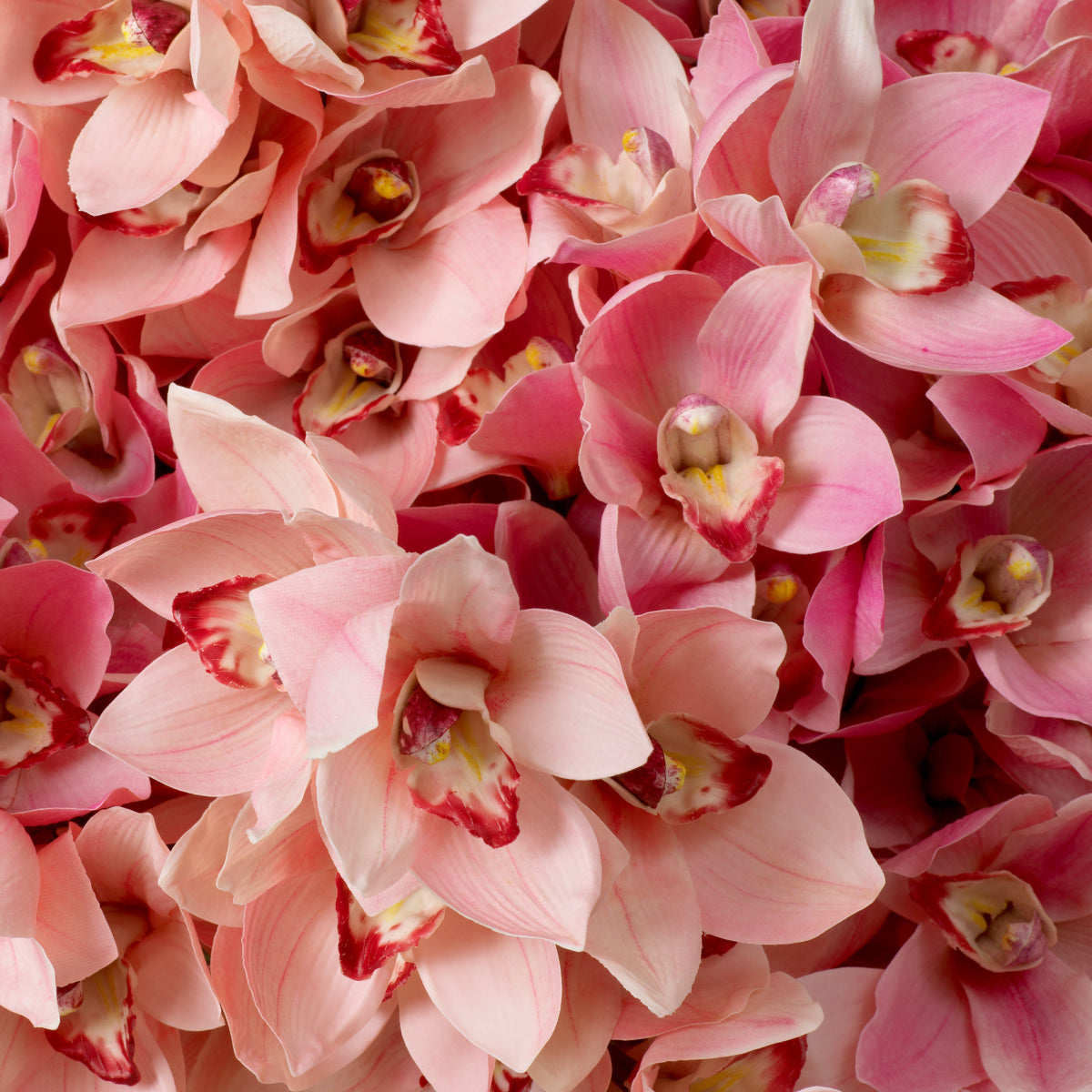 Buchet de orhidee Cymbidium, roz și piersică, cu aspect natural, 36 fire
