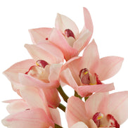 Buchet de orhidee Cymbidium, roz și piersică, cu aspect natural, 36 fire