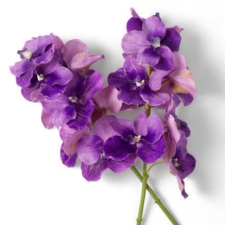 Buchet de orhidee Vanda, mov, cu aspect natural, 24 fire