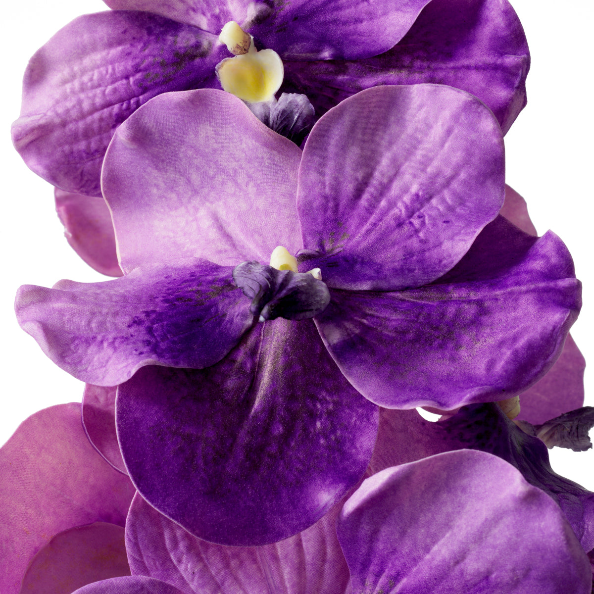 Buchet de orhidee Vanda, mov, cu aspect natural, 24 fire