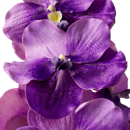 Buchet de orhidee Vanda, mov, cu aspect natural, 24 fire