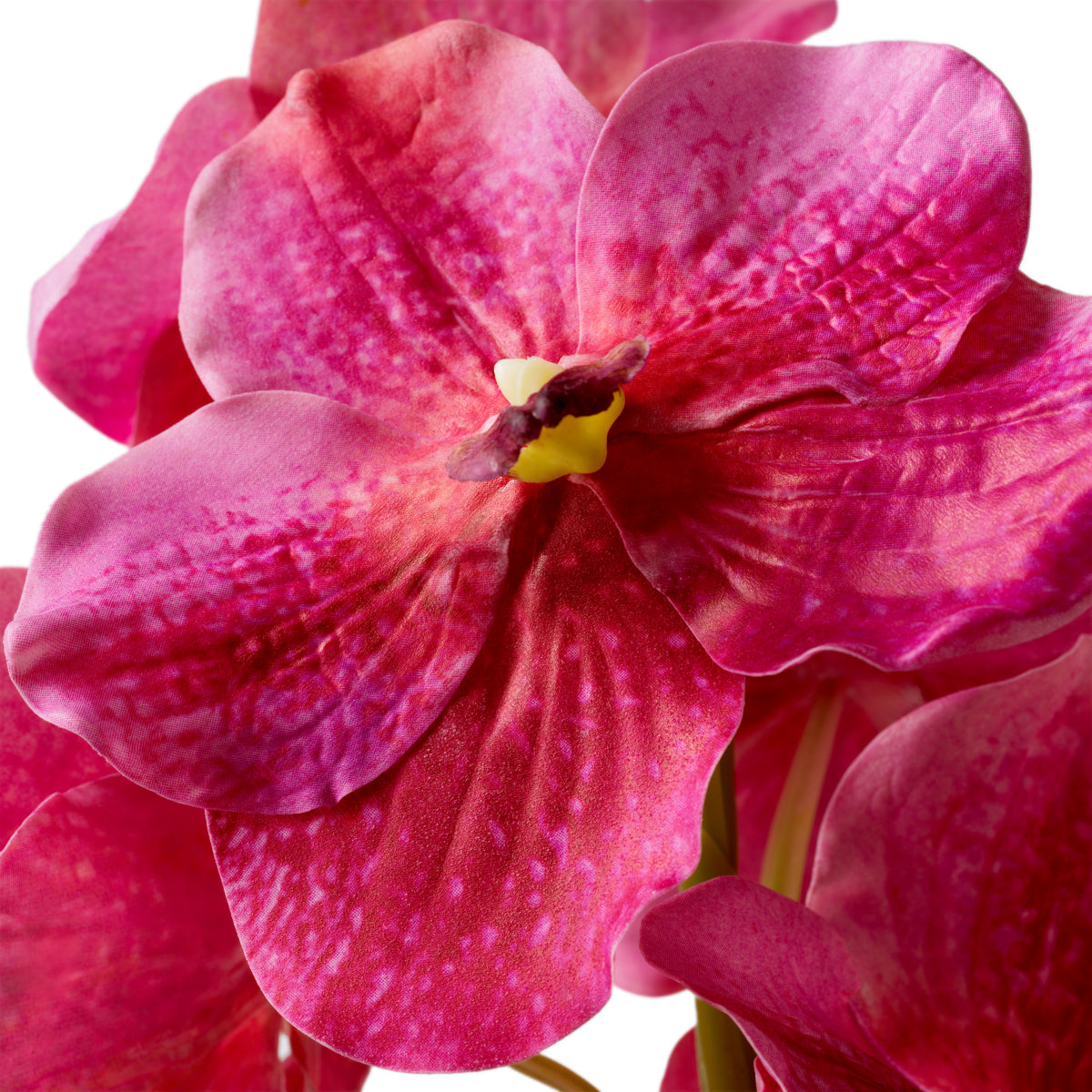 Buchet de orhidee Vanda, roz, cu aspect natural, 24 fire