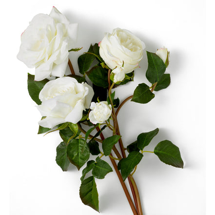Buchet de trandafiri tricolori, alb, cu aspect natural, 72 fire