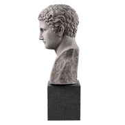 Bust Roman Imperial, piatră antichizată