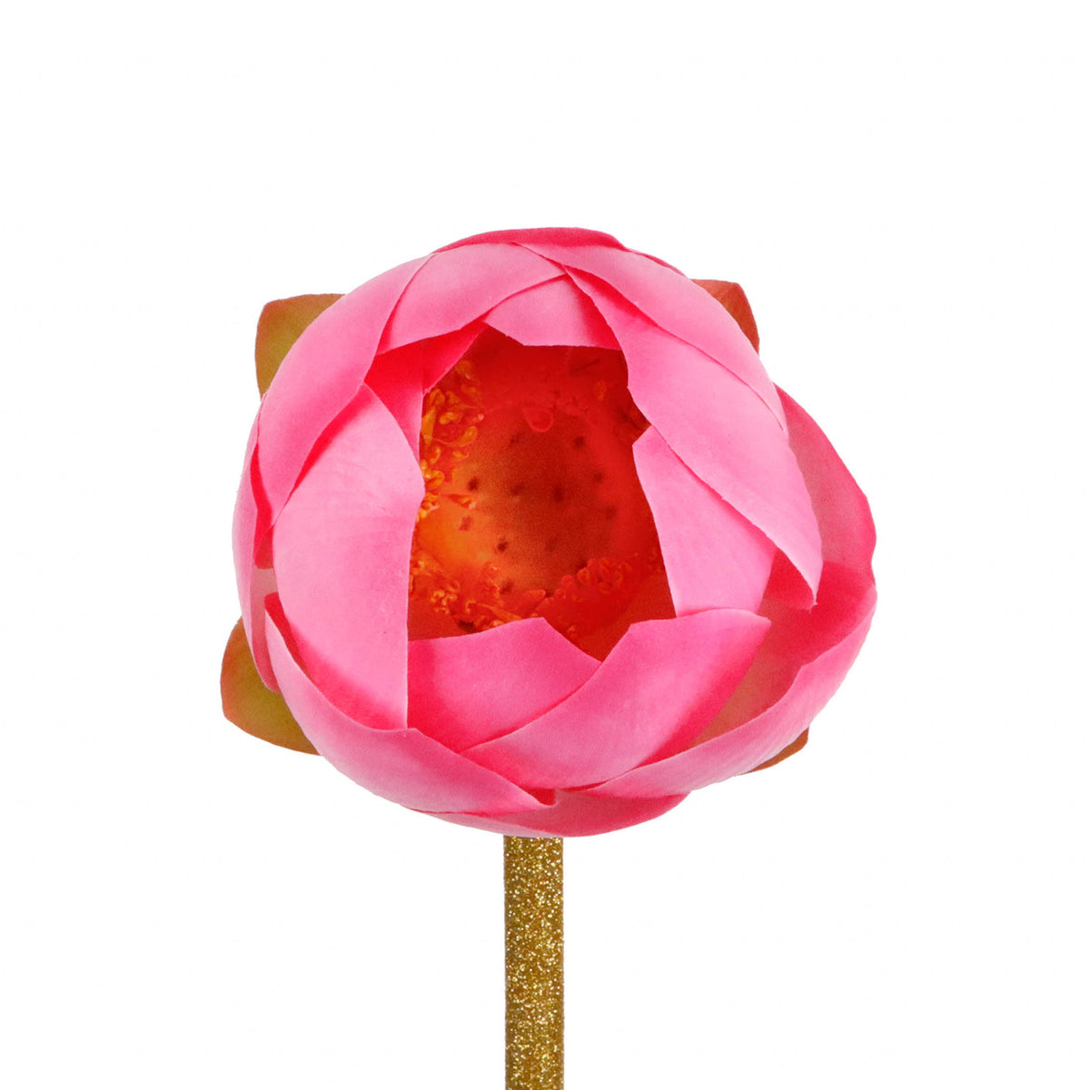 Floare de nufăr/lotus pe tulpină, roz, 78 cm