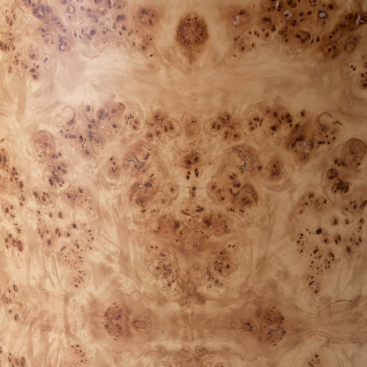 Fotoliu Arcadia, furnir mappa burl maro deschis, loki natural