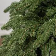 Brad Artificial Full 3D Lapland 300cm, verde