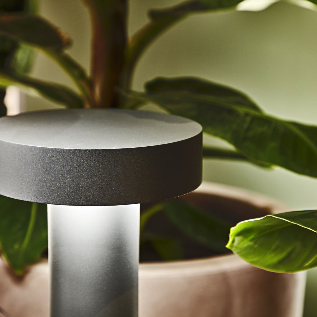 Lampadar de exterior Tesla PT4 H80, antracit – ambient