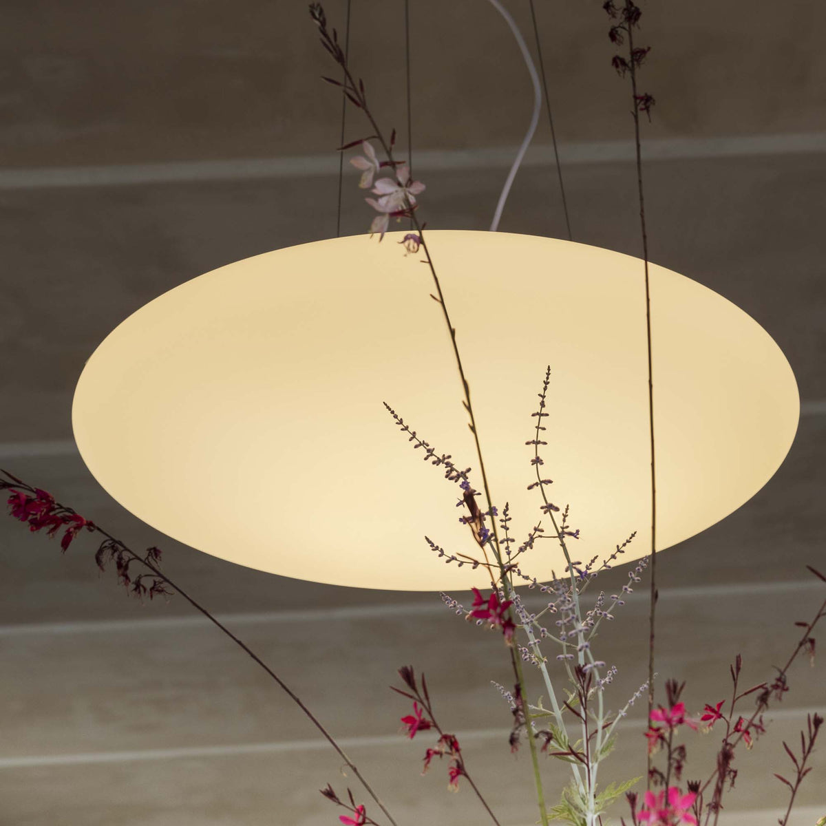 Lustră pendul Smarties SP5 D60 – ambient