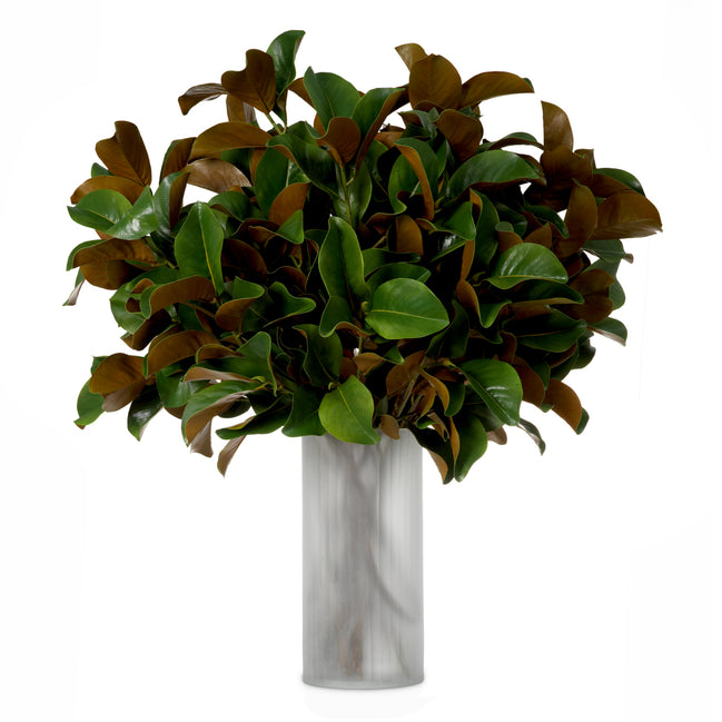 Mănunchi de frunze de magnolie, 24 fire