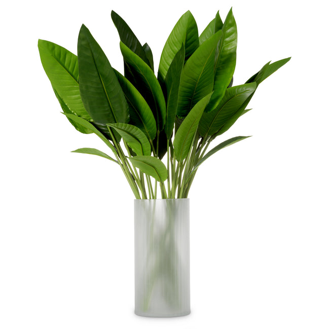 Mănunchi de frunze de Strelitzia, 36 fire