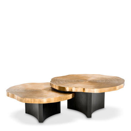 Măsuță de cafea Thousand Oaks, finisaj alamă, set de 2