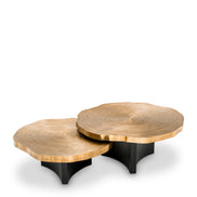 Măsuță de cafea Thousand Oaks, finisaj alamă, set de 2