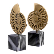 Obiect Ammonite, finisaj alamă vintage, set de 2