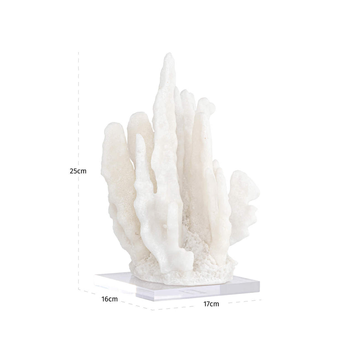 Obiect decorativ Lilly, alb, aspect de coral – desen tehnic cu dimensiuni