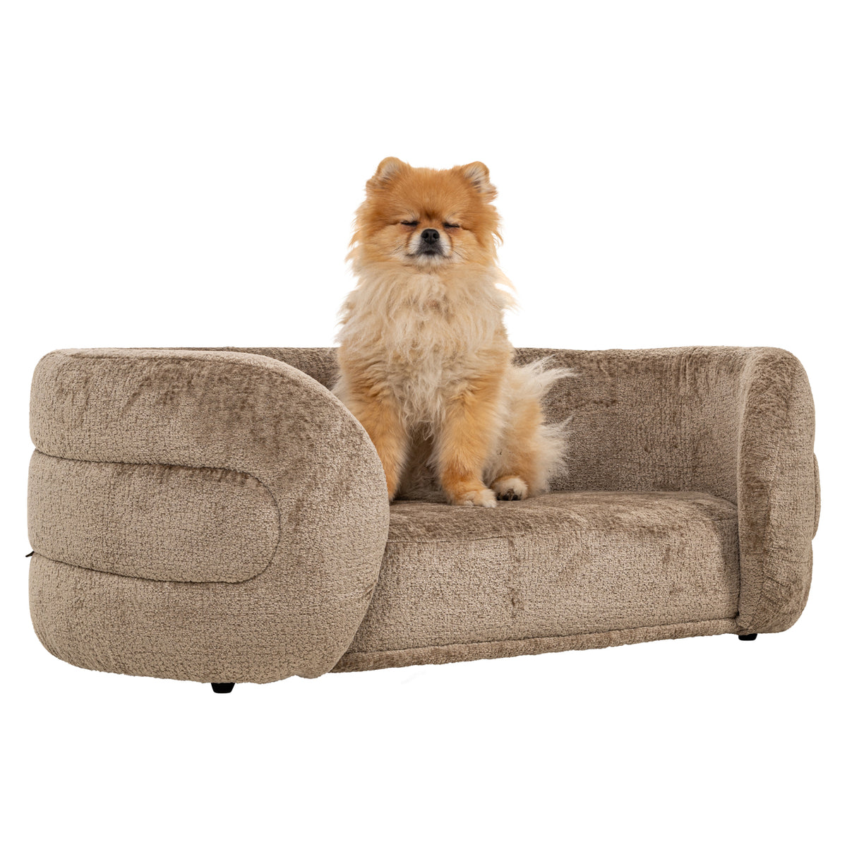 Pat pentru animale de companie Bingo, chenille taupe