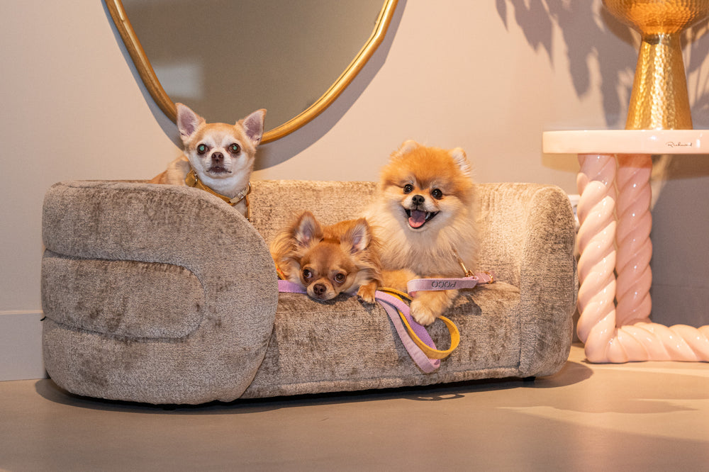 Pat pentru animale de companie Bingo, chenille taupe – ambient