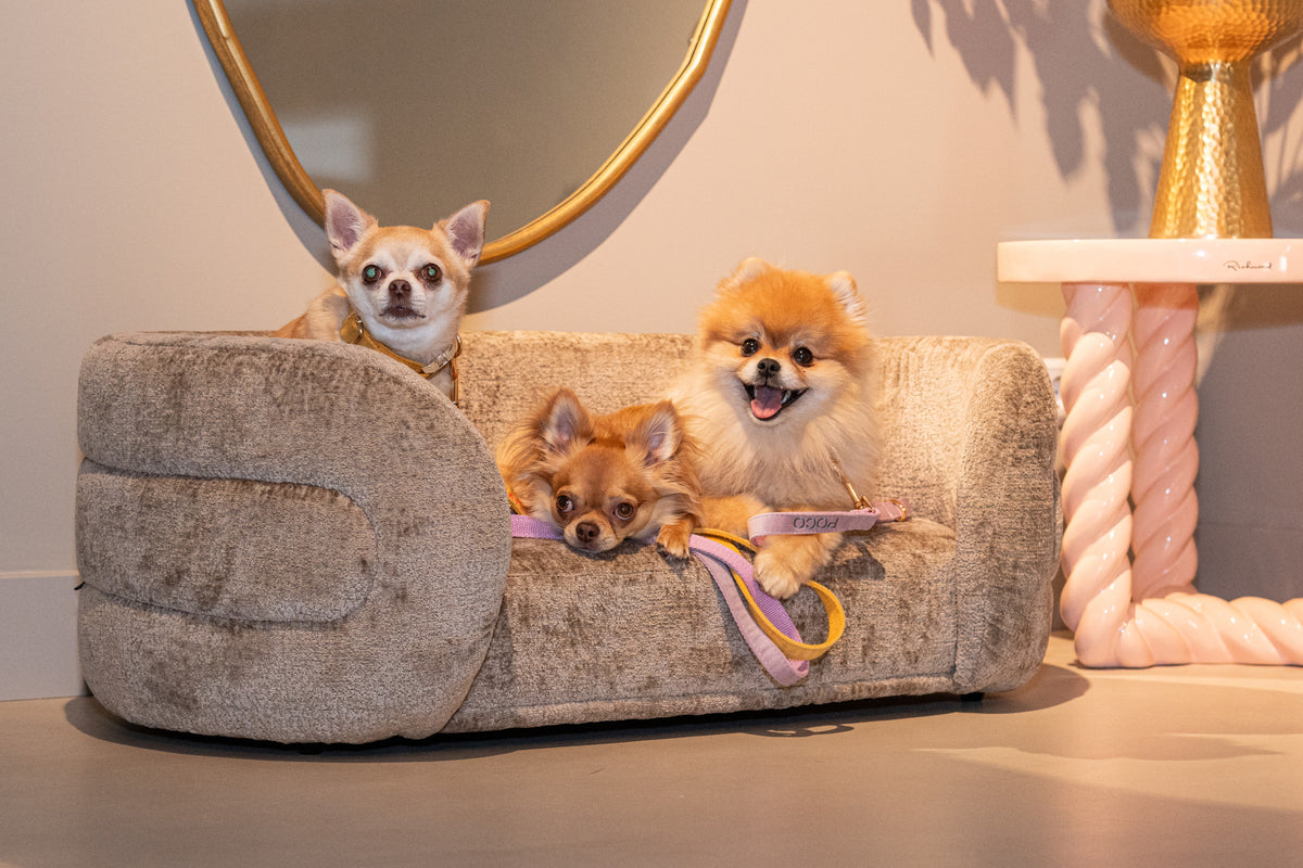 Pat pentru animale de companie Bingo, chenille taupe – ambient