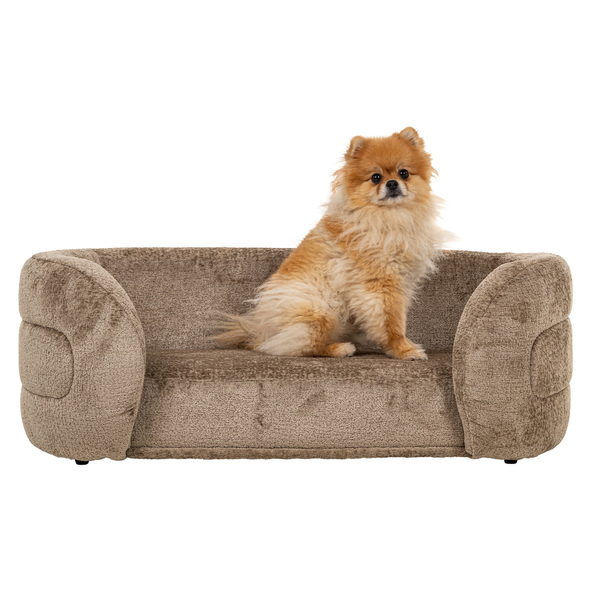 Pat pentru animale de companie Bingo, chenille taupe