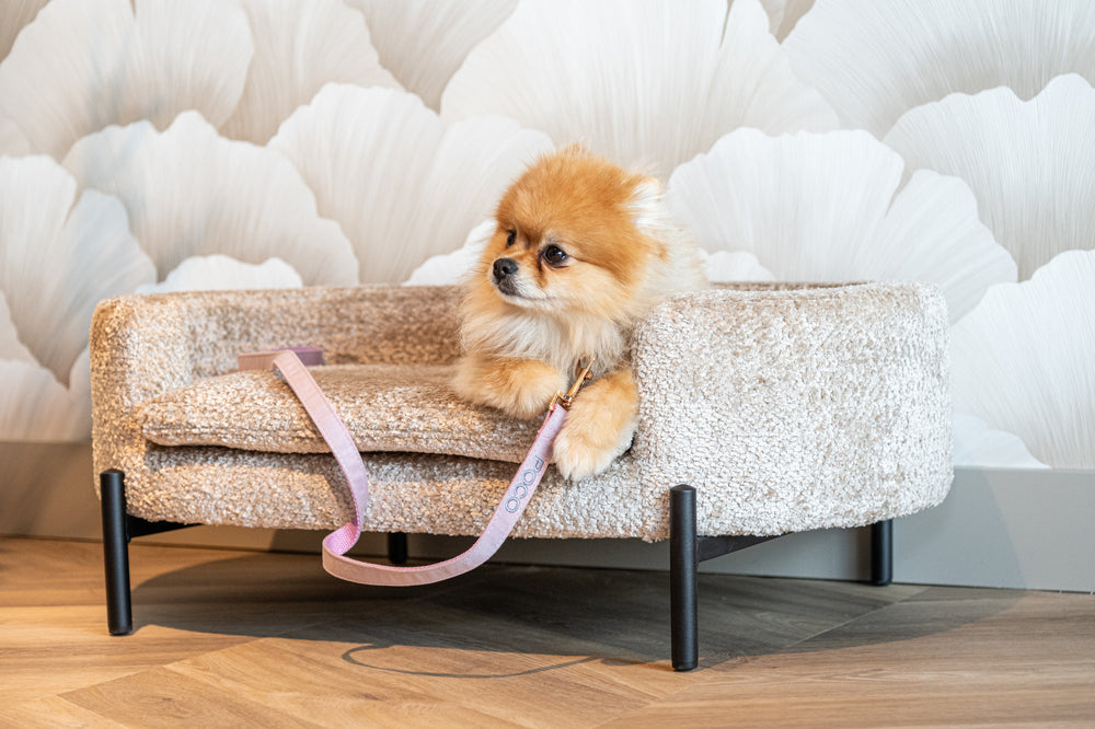 Pat pentru animale de companie Dolly, blockweave bej – ambient