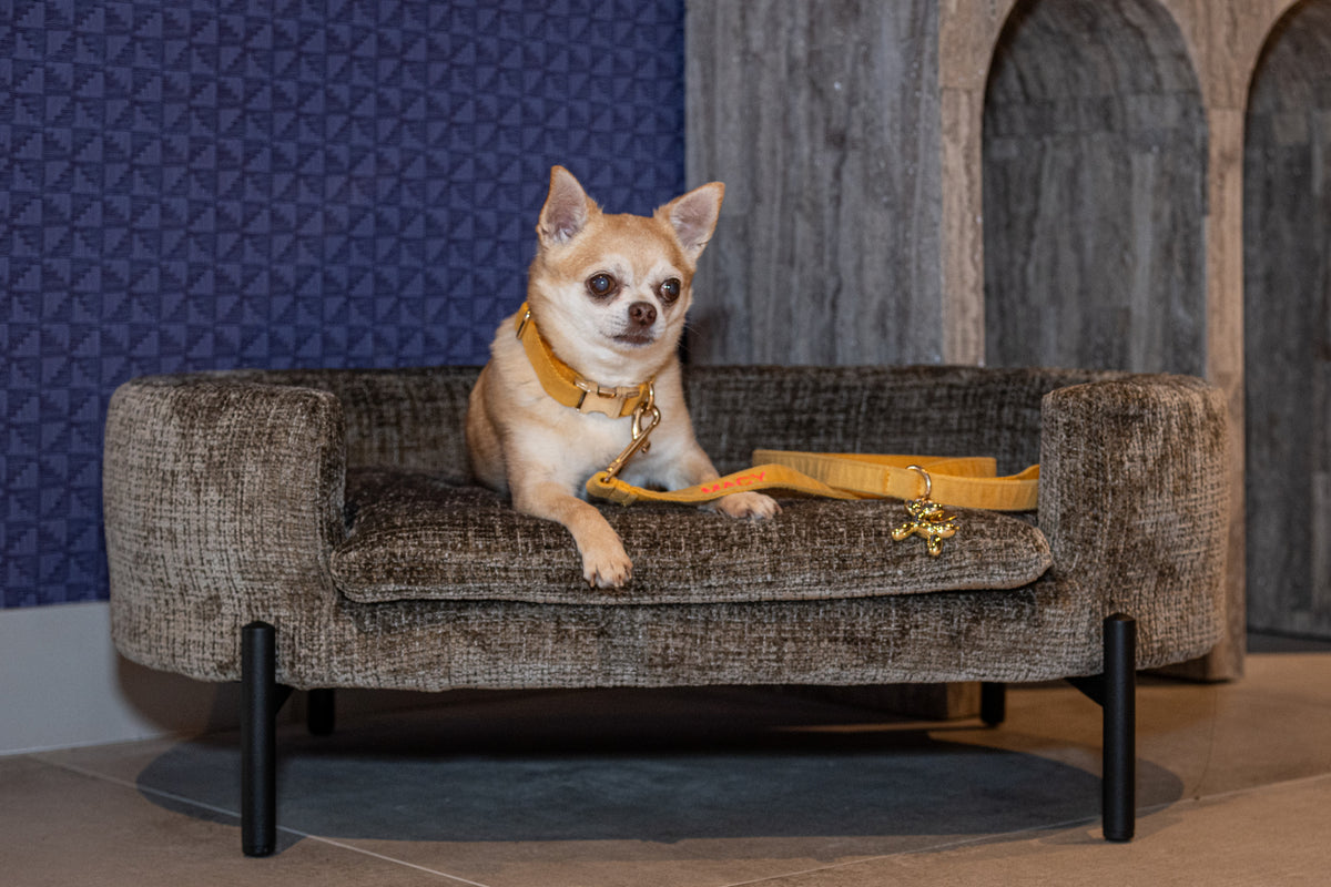 Pat pentru animale de companie Dolly, niagara stone – ambient