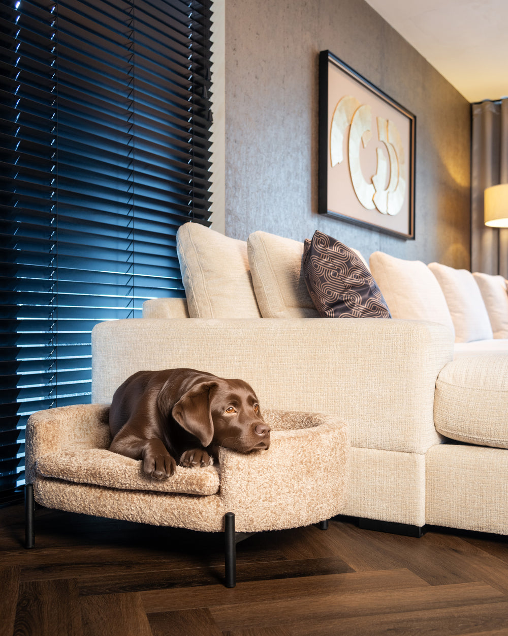 Pat pentru animale de companie Dolly, sheep natural – ambient