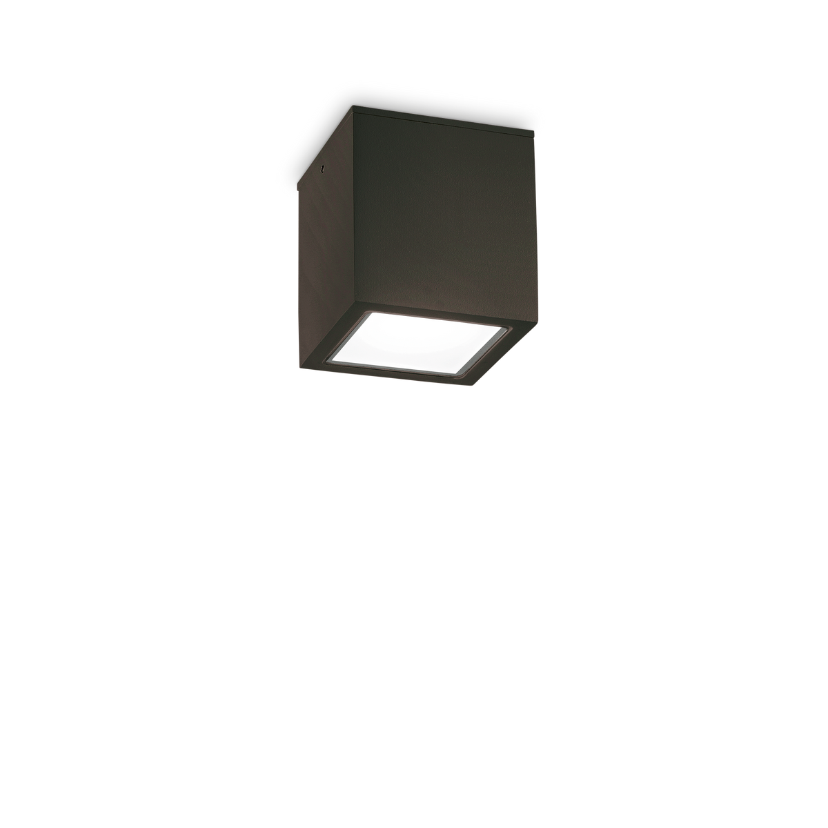 Plafonieră de exterior Techo PL1 D09 pătrată, negru
