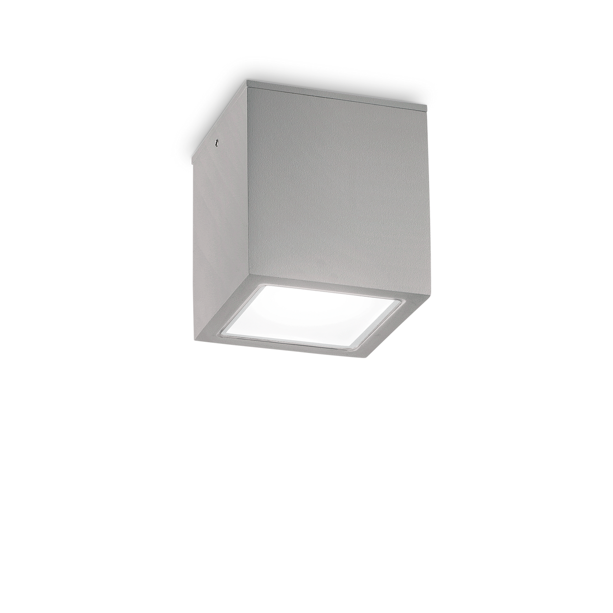 Plafonieră de exterior Techo PL1 D15 pătrată, gri
