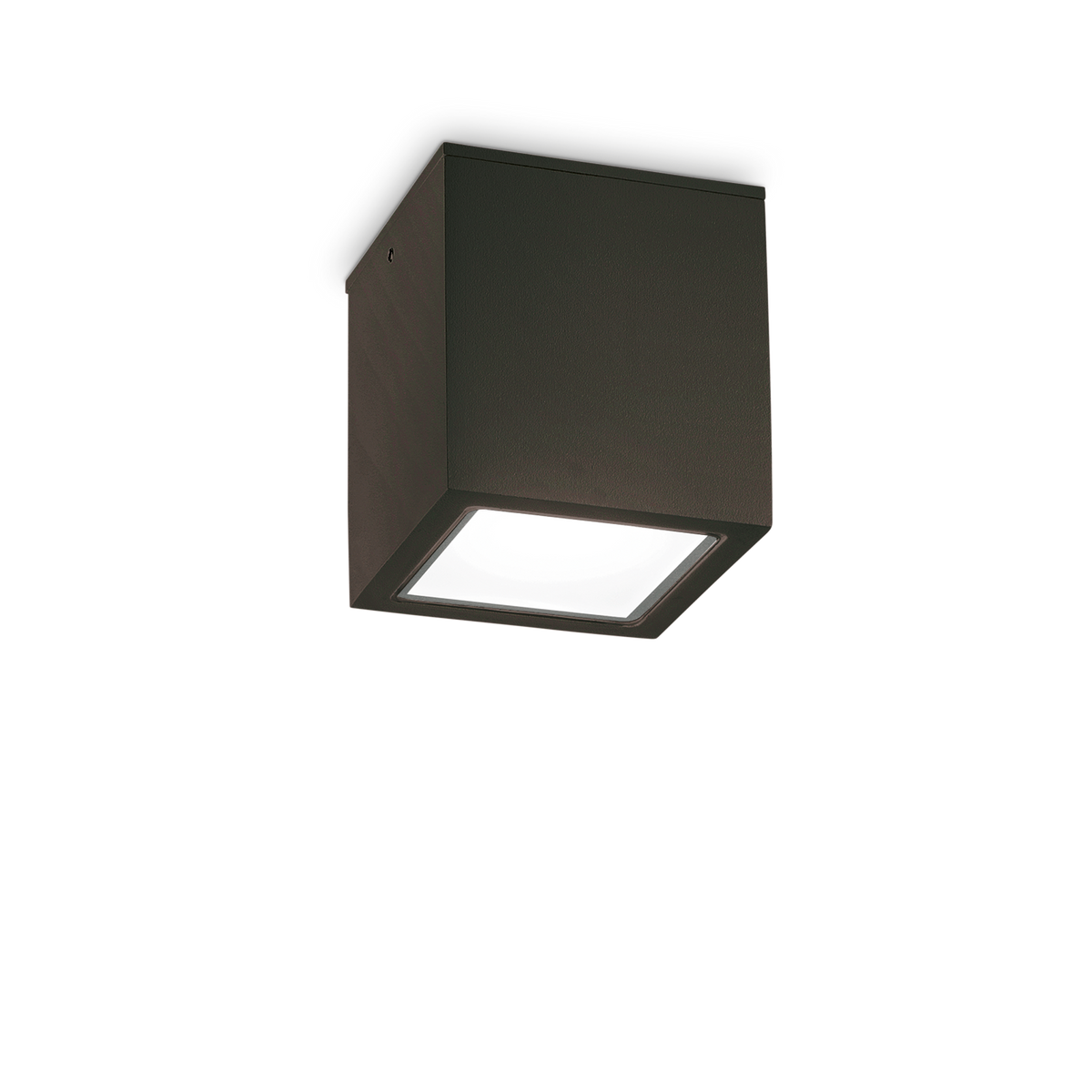 Plafonieră de exterior Techo PL1 D15 pătrată, negru