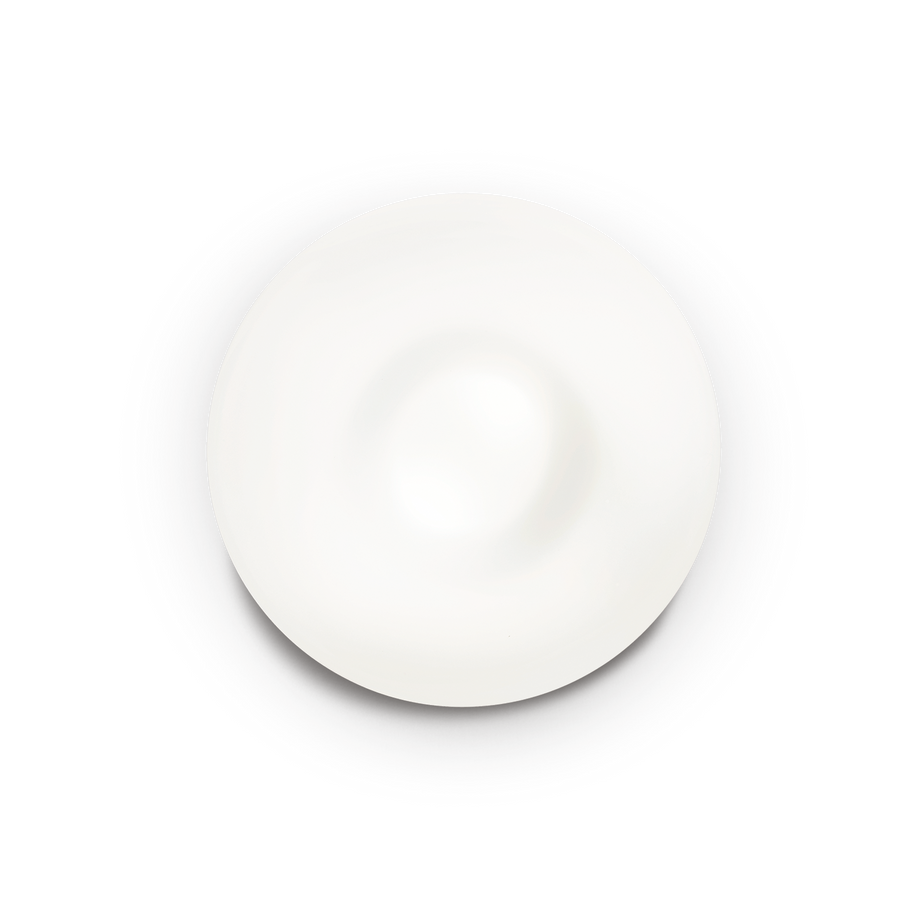 Plafonieră Glory PL2 D40