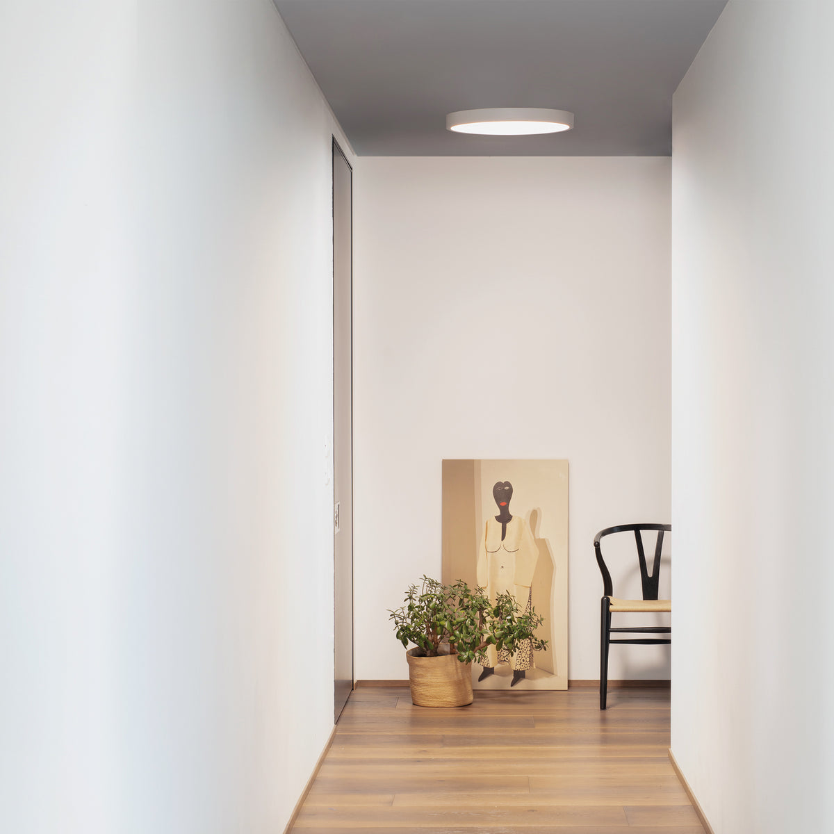 Plafonieră Ray PL D60, negru – ambient