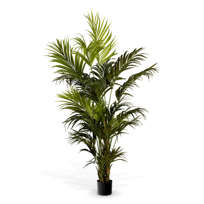 Plantă artificială Kentia Palm, verde