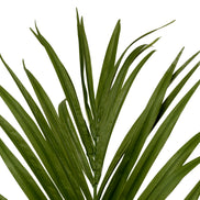 Plantă artificială Kentia Palm, verde