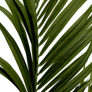 Plantă artificială Kentia Palm, verde