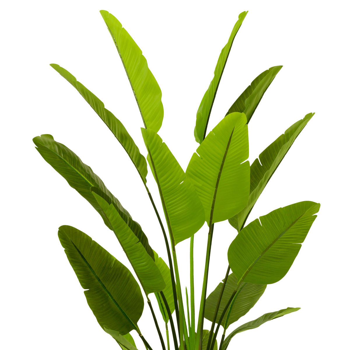 Plantă artificială Strelitzia L, verde