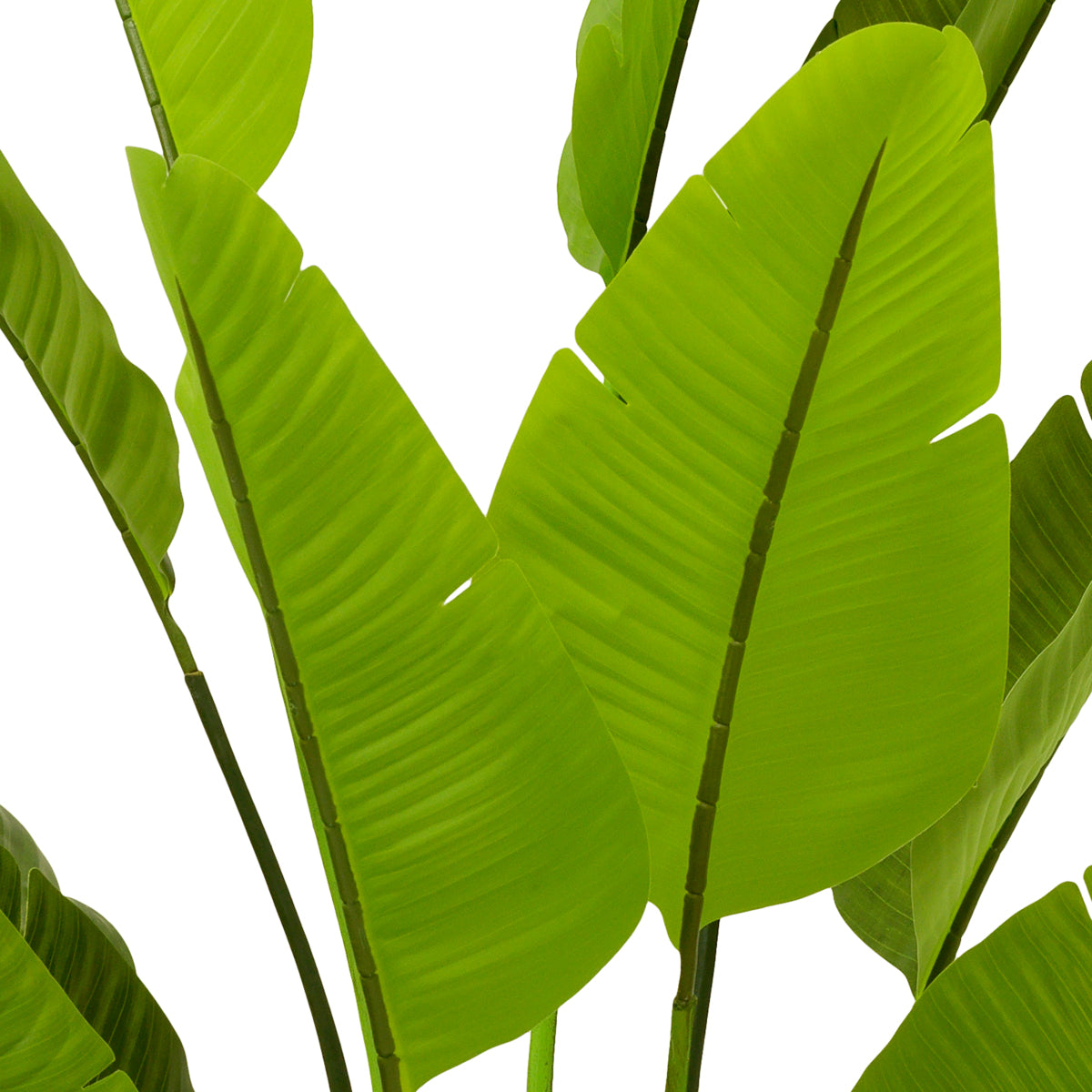 Plantă artificială Strelitzia L, verde