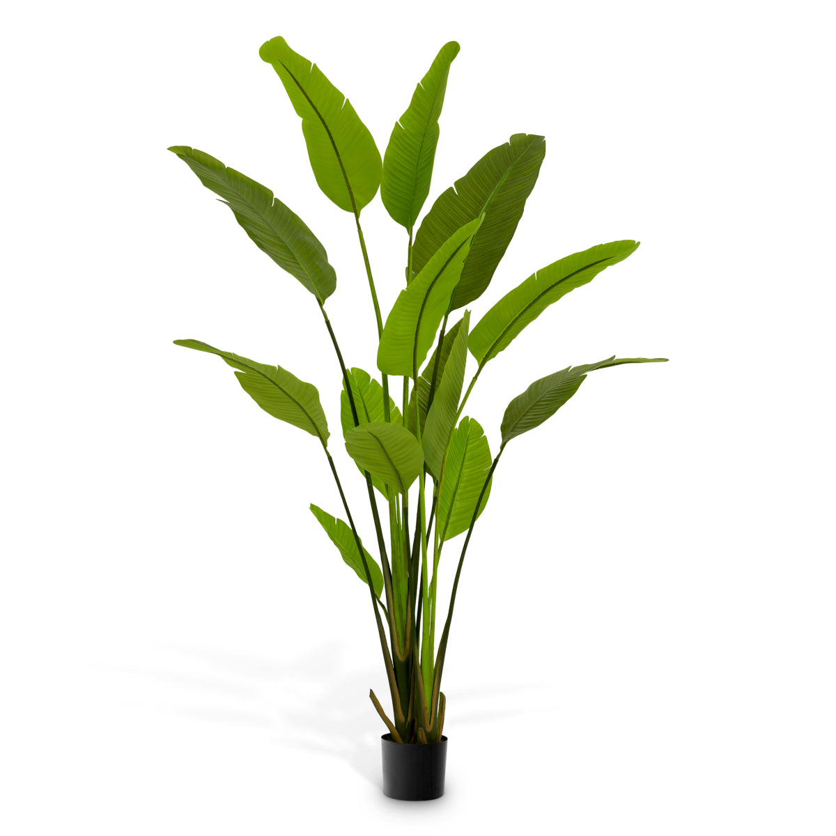 Plantă artificială Strelitzia M, verde