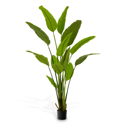 Plantă artificială Strelitzia M, verde