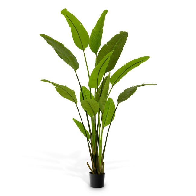 Plantă artificială Strelitzia M, verde