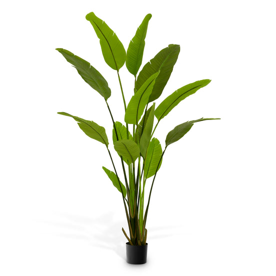 Plantă artificială Strelitzia M, verde