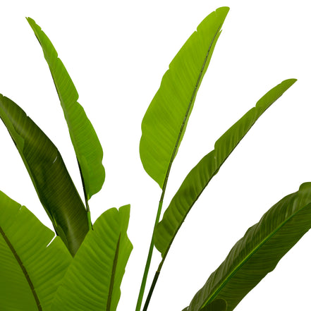 Plantă artificială Strelitzia M, verde