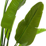 Plantă artificială Strelitzia M, verde