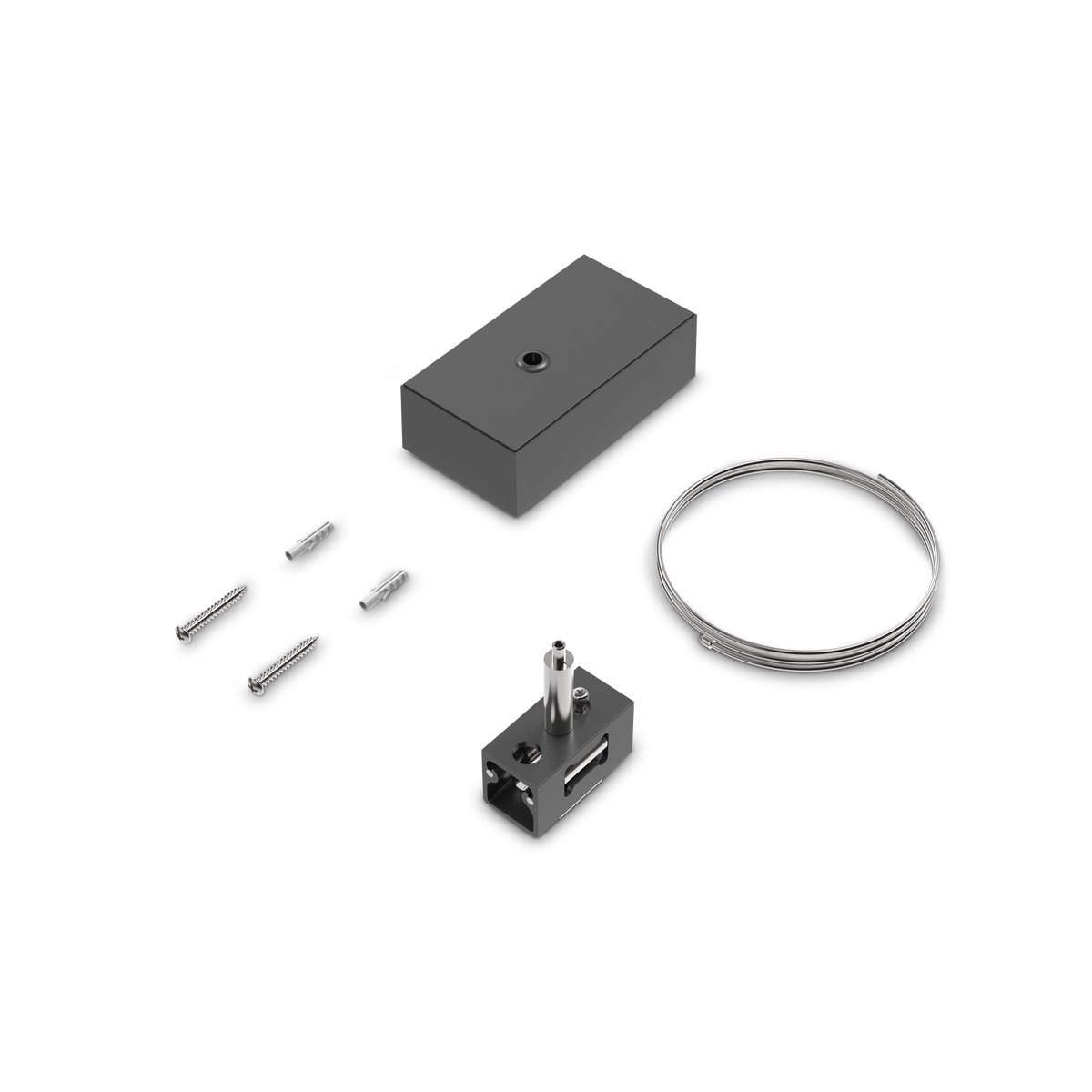 Rozetă cu kit de suspensie Ego bi-emisie 2 m, negru