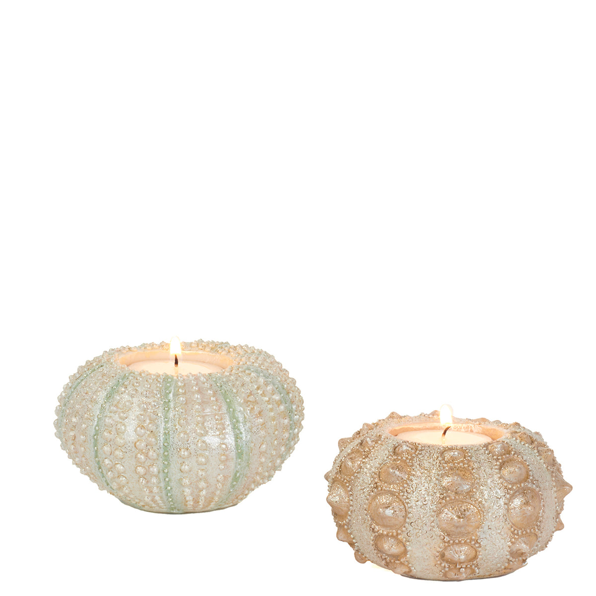 Set 2 suporturi pentru lumânare votivă în formă de arici de mare, alb/roz, 10 cm