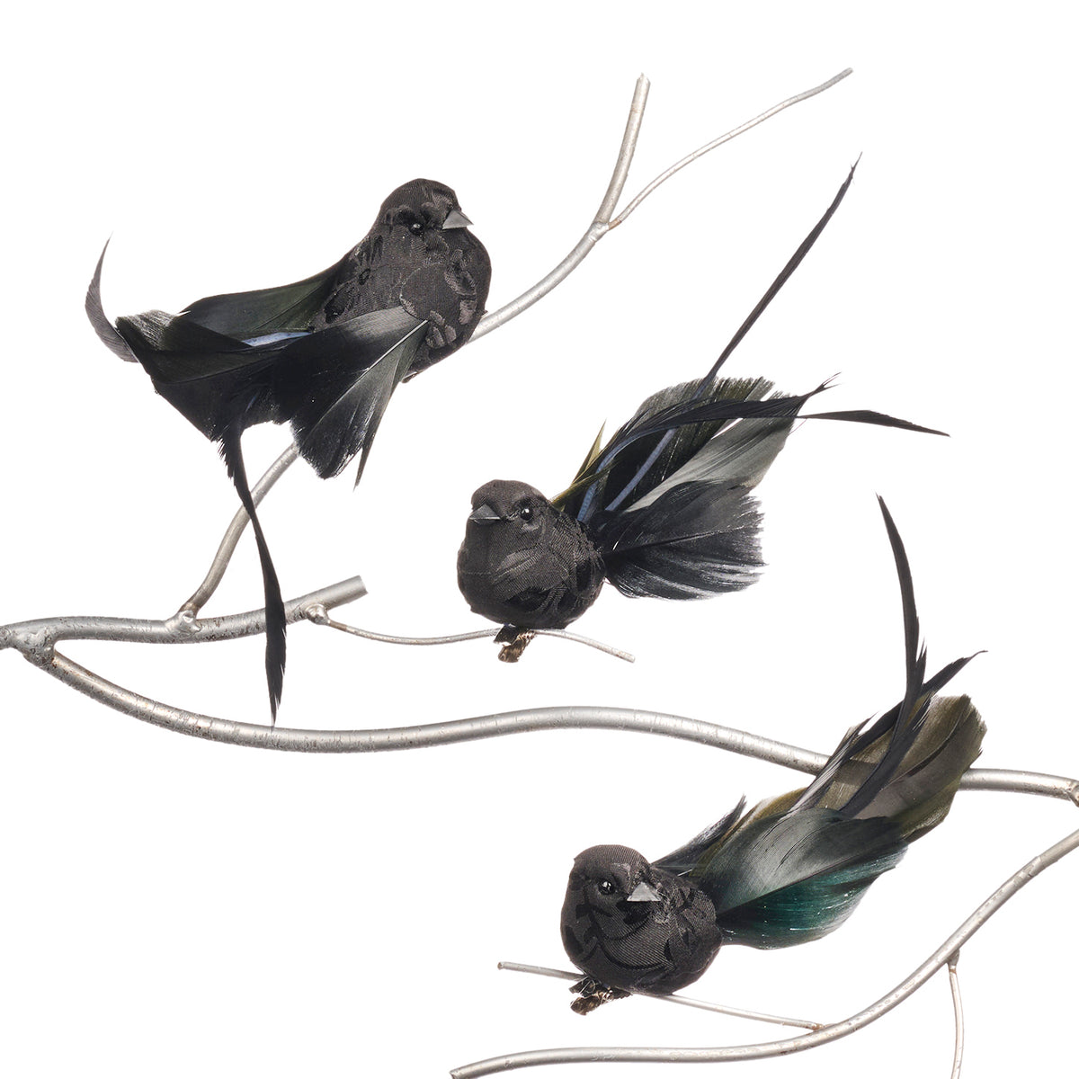 Set 3 păsări din pene pe clemă, negru, 17 cm